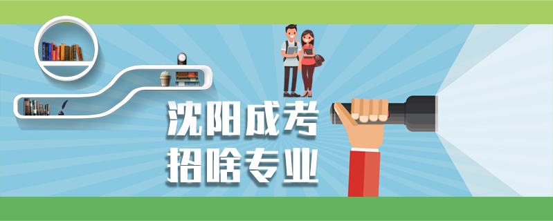 沈陽成考招啥專業(yè)