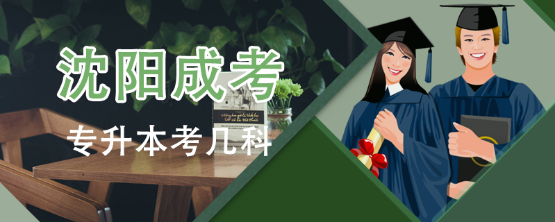 沈陽成考專升本考幾科