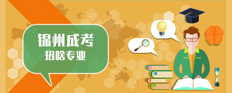 錦州成考招啥專業(yè)