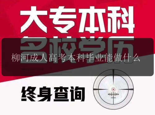 柳河成人高考本科畢業(yè)能做什么